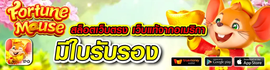 zeed789